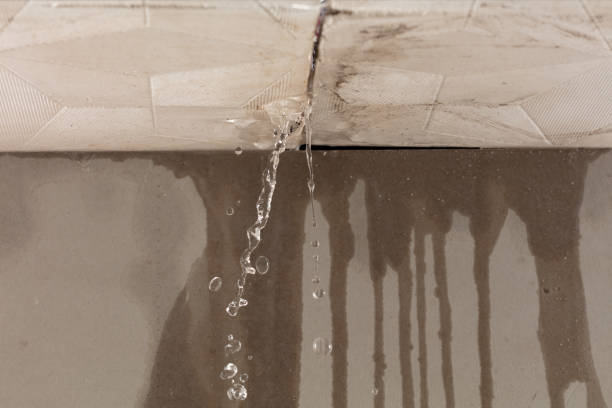 Professional Sewage Cleanup technician working in Normandy, TN